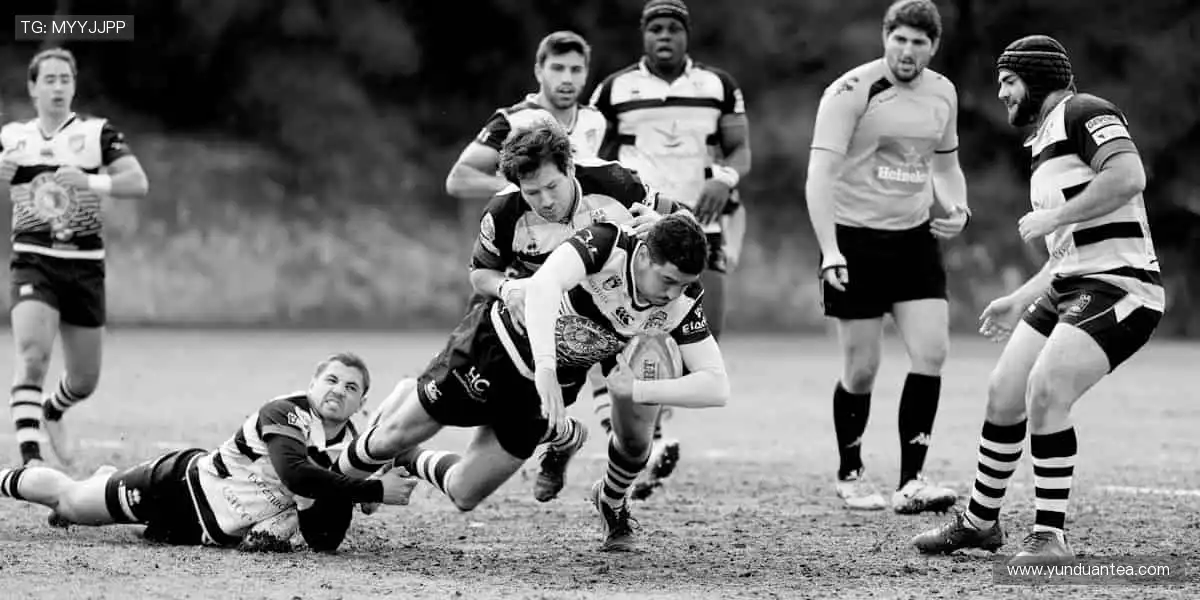 📱 边看边聊,弹幕刷屏,互动赢好礼!